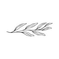 Single Leaf Line Art Illustration Isolated in White. Floral decoration branch leaf plant line. Modern single line art, aesthetic contour. Perfect for home decor such as posters, wall art, tote bag etc vector