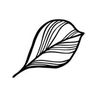 Single Leaf Line Art Illustration Isolated in White. Floral decoration branch leaf plant line. Modern single line art, aesthetic contour. Perfect for home decor such as posters, wall art, tote bag etc vector