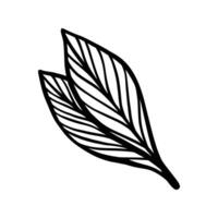 Single Leaf Line Art Illustration Isolated in White. Floral decoration branch leaf plant line. Modern single line art, aesthetic contour. Perfect for home decor such as posters, wall art, tote bag etc vector