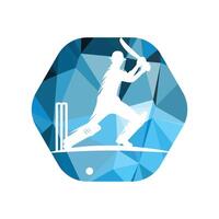 Cricket Player Logo Inside a Shape of Hexagon vector