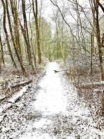 Hiking in snow photo
