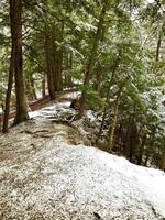 Hiking ridge top fresh snow pine trees photo