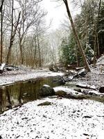 Hiking along creek in snowy photo