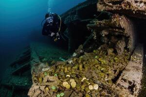 AI generated A scuba diver exploring a spanish galleon wreck full of gold coins photo