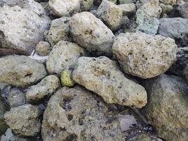 a pile of rocks on the beach photo