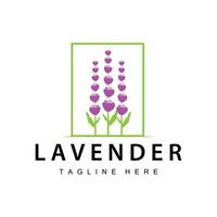 Lavender logo simple design vector cosmetic plant purple color and aromatherapy lavender flower garden template