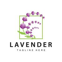 lavanda logo sencillo diseño vector cosmético planta púrpura color y aromaterapia lavanda flor jardín modelo