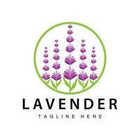 Lavender logo simple design vector cosmetic plant purple color and aromatherapy lavender flower garden template