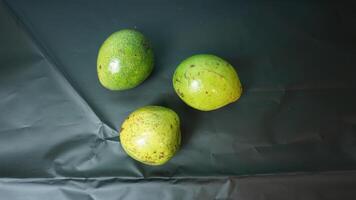 Green avocado on a plain background photo