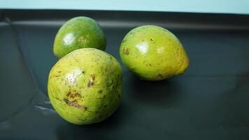 Green avocado on a plain background photo