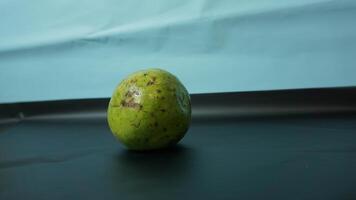 Green avocado on a plain background photo