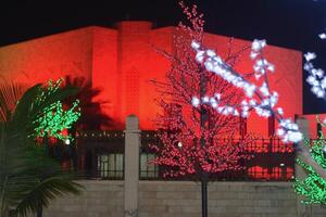 Oman National Day photo