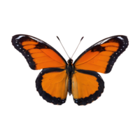 ai generiert Orange und schwarz Schmetterling isoliert png