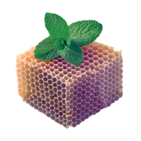 AI generated Honeycomb with mint leaves isolated on transparent background png