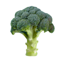 ai gegenereerd vers broccoli geïsoleerd Aan transparant achtergrond png