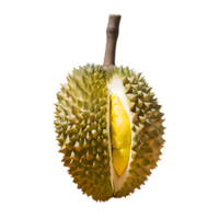 ai gegenereerd rijp durian fruit geïsoleerd Aan transparant achtergrond png