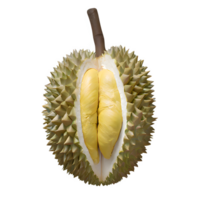 ai generado maduro Durian Fruta aislado en transparente antecedentes png