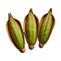 AI generated Three cardamom pods on transparent background isolated png