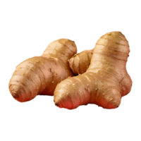 AI generated Transparent background highlights fresh ginger isolated png