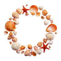 AI generated Transparent background with shells isolated png