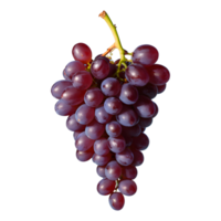 AI generated Grape against transparent background isolated png