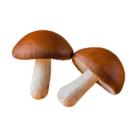 ai gegenereerd geïsoleerd paar- van goedkoop champignons geïsoleerd png