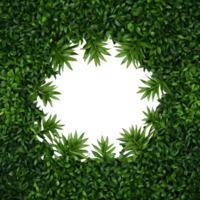 AI generated Green foliage on a dark canvas for backdrop creation isolated png