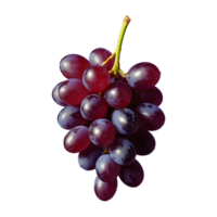 AI generated Grapes on a transparent background separated isolated png