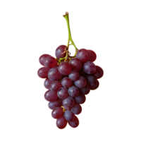 AI generated Grape against transparent background isolated png