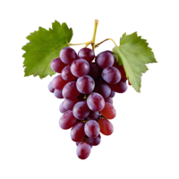 AI generated Grapes on a transparent background separated isolated png