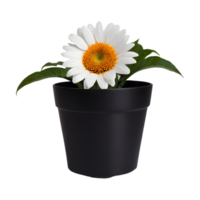 AI generated Metal flower in black pot on transparent background isolated png