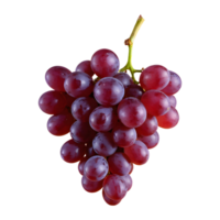 AI generated Grapes on a transparent background separated isolated png