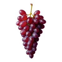 AI generated Grapes on a transparent background separated isolated png