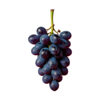 AI generated Grapes on a transparent background separated isolated png