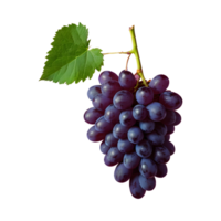 AI generated Grapes on a transparent background separated isolated png