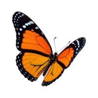 AI generated Transparent background with solitary butterfly isolated png