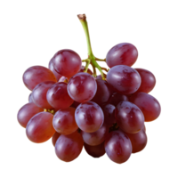 AI generated Grape against transparent background isolated png