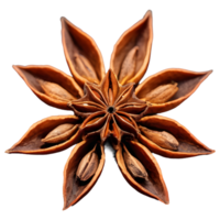AI generated Closeup of star anise on transparent background isolated png