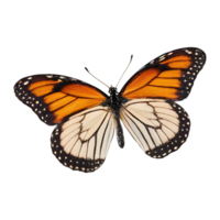 ai generado transparente antecedentes con solitario mariposa aislado png