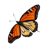 ai generiert transparent Hintergrund mit einsam Schmetterling isoliert png