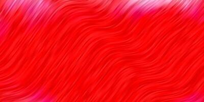 Light Red vector backdrop with curves.