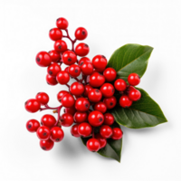 AI generated red berries on a branch with leaves png