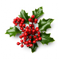 AI generated holly berry on a transparent background png