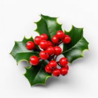 AI generated holly berry on a transparent background png