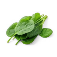 AI generated spinach leaves on a transparency background png