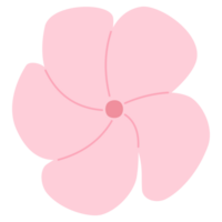 A frangipani PNG transparent background in a spring minimal shape floral concept, illustration