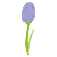 un tulipán png transparente antecedentes en un primavera mínimo forma floral concepto, ilustración