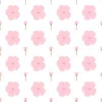 une sans couture modèle de frangipanier et rose fleur épanouissement png transparent Contexte dans une printemps minimal forme floral concept, illustration