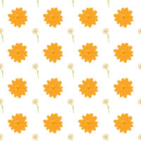 A seamless pattern of orange cosmos and daisy PNG transparent background in a spring minimal shape floral concept, illustration