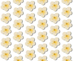 un' senza soluzione di continuità modello di Mela fiorire png trasparente sfondo nel un' primavera minimo floreale concetto, illustrazione